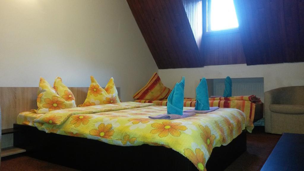Hotel Casa Frasin Buşteni Pokoj fotografie